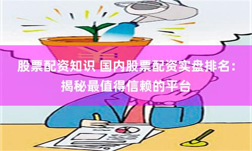 股票配资知识 国内股票配资实盘排名：揭秘最值得信赖的平台
