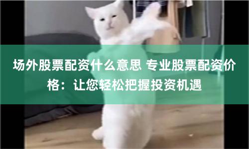 场外股票配资什么意思 专业股票配资价格：让您轻松把握投资机遇